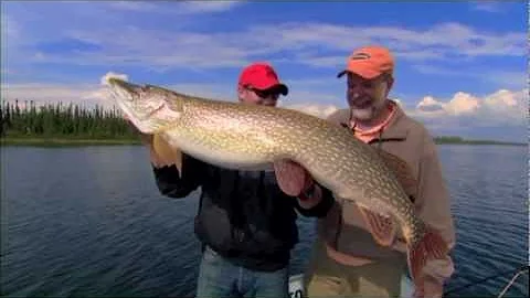 Monster Pike on the fly at Wollaston Lake Lodge