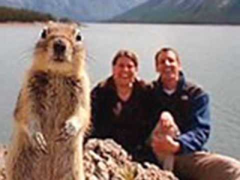 Photo Hogging Squirrel - YouTube