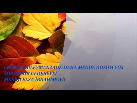 CEYHUN ILQAR SULEYMANZADE-DAHA MENDE DOZUM YOX