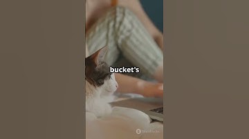 AWS S3 Buckets: Simplified!