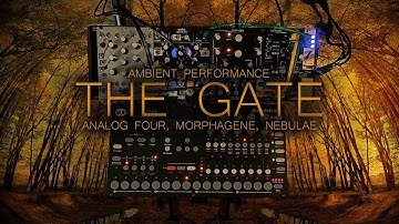 the gate ... elektron analog four, morphagene, nebulae v2 ... ambient
