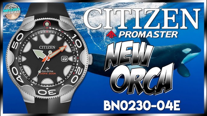 Citizen Orca BN0230-04E Solar Quartz (Saltzman's) - YouTube