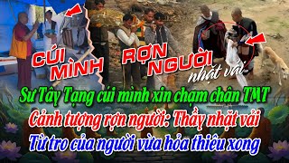 Sư Tây Tạng cúi mình xin chạm chân TMT. Rợn người: Thầy nhặt vải Từ tro của người vừa hỏa thiêu xong