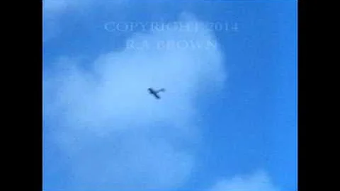 Duane Cole Taylorcraft Airshow