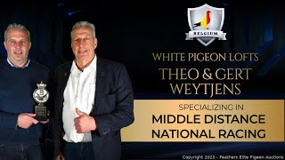 THEO & GERT WEYTJENS~WHITE PIGEON LOFT~BELGIUM  LOFT TOUR