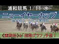 浦和競馬【ニューイヤーカップ】1/11(水) 11R《地方競馬 指数グラフ・予想・攻略》+10R-小寒特別