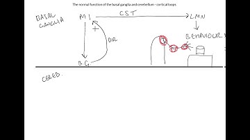 The normal function of the basal ganglia and cerebellum - cortical loops