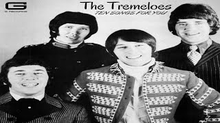 The Tremeloes 