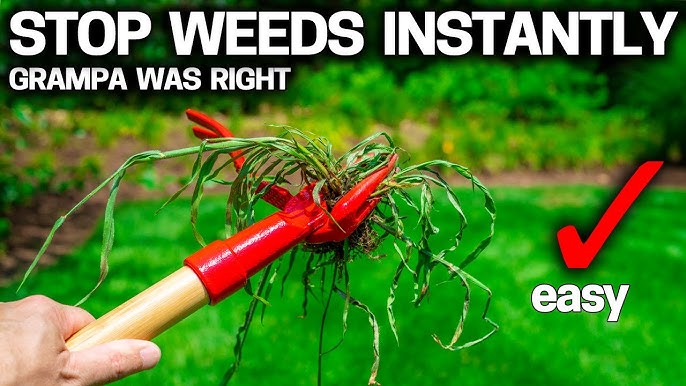 DIY Weeding Tool - Creates with Love