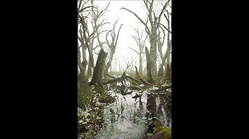 Swamp UE4 & Megascans