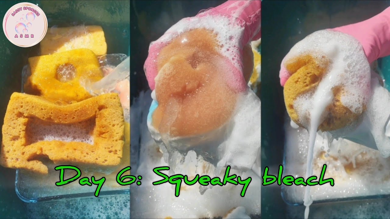 Day 6♻️ Bleach & Worn out sponges🧽🤍Sudsy sponge rinsing