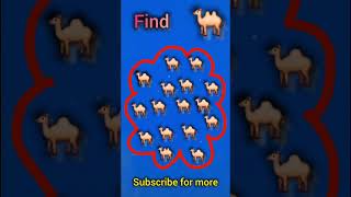 find odd #oddoneoutchallenge # #brainteaser #mindgame
