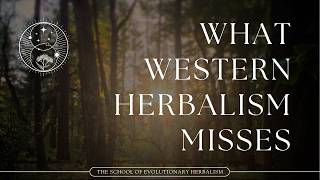 Macrocosm, Microcosm, and the Healing Path