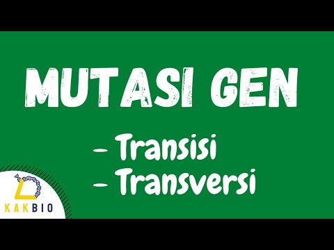 Video: Apakah ini akan menjadi contoh pergeseran genetik?