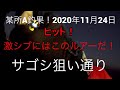 某所A釣果！　釣れましたよ～！　でも激シブでした・・・2020年11月24日　青物　ショアジギング　沖向きテトラ　サゴシ　ハマチ　ブリ　メジロ　サワラ fishing