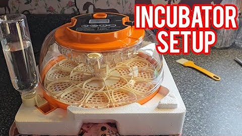 Setting Up our Incubator | #hatching #incubator #howto