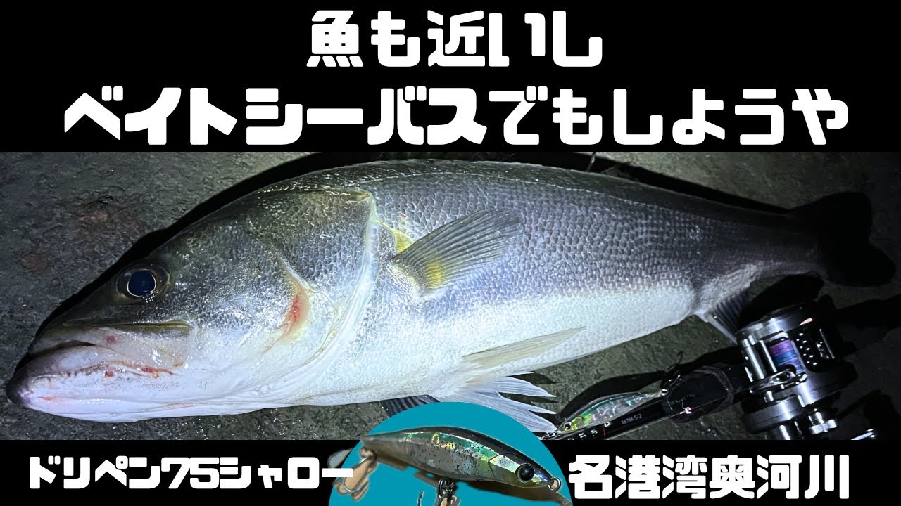 名古屋港おかっぱりベイトシーバス　名港湾奥河川