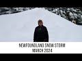 Newfoundland Snow Storm - March 2024