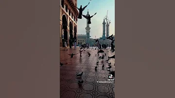 مليون صلاة الزين على النبى حببنا صلوا صلوا على رسول الله ص اشتراك 