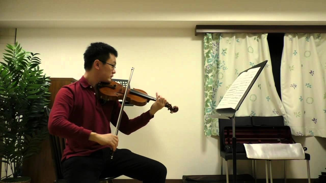 2nd violin＞Beethoven Symphony No 9 in d minor Op125 2nd mov - YouTube