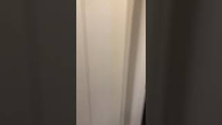 Acacia - Laundry Bathroom