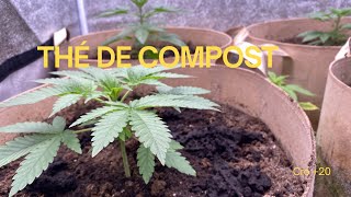 Log#277: Compost Tea! (For $0.50 with 2 Ingredients)