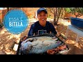 CAPTUREI UM PEIXÃO E PREPAREI PRA TODA FAMÍLIA - ( CATCH AND COOK)