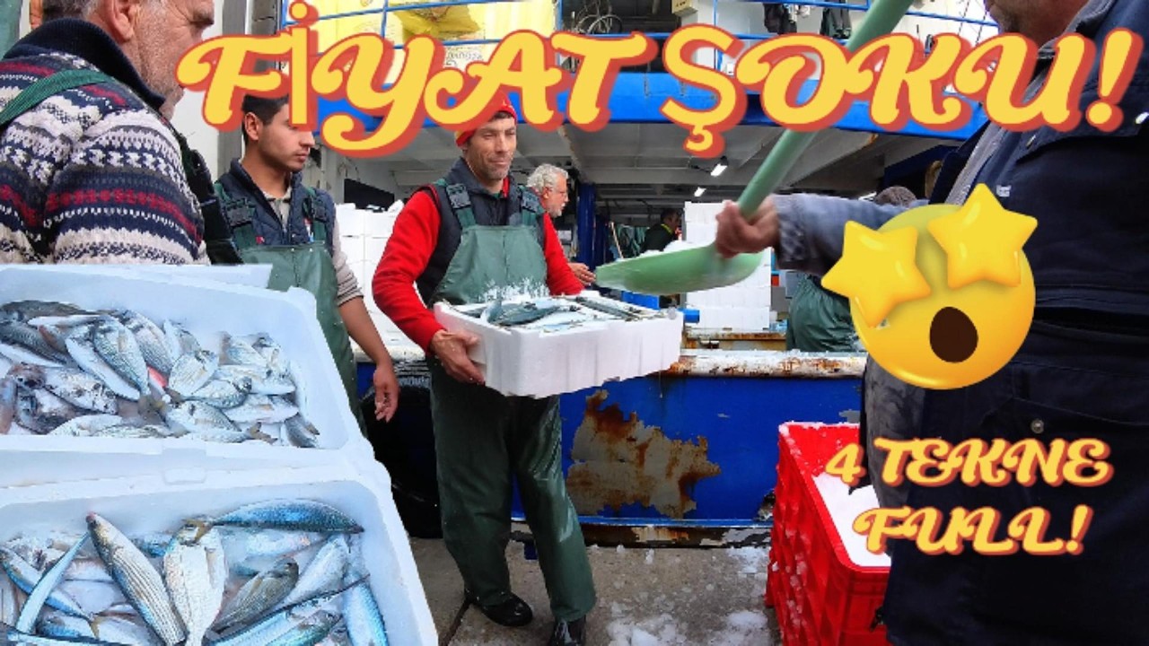Balık Mezatında Fiyat Şoku! 🐟 4 Tekne Full Geldi | Hamsi, Kalamar Kaç TL?