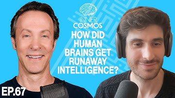 How did human brains get runaway intelligence? | Inner Cosmos with David Eagleman