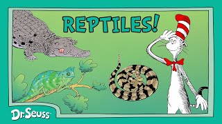  Episode Reptile Quiz  Lizards Snakes U0026 Crocs  Cat In The Hats Quirky Quiz  Dr Seuss
