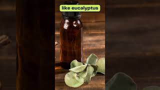 Steam Inhalation For Shortness Of Breath | Home Remedy Sanctuary | #shorts