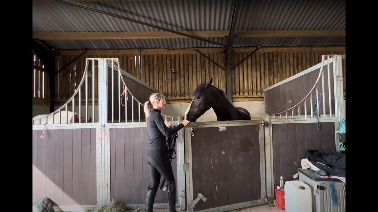 Horse loses an eye and becomes terrified of loading! How can I help ...