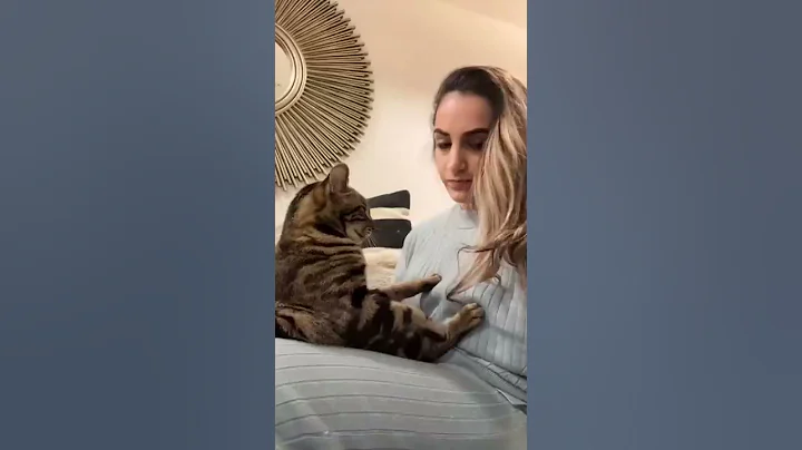 WATCH HOW CLINGY MY CAT BECOMES…🥰 #shorts - DayDayNews