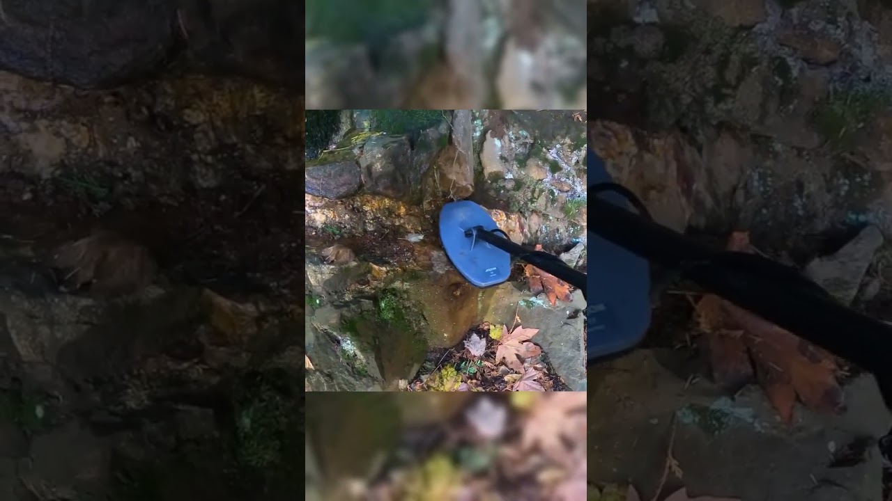 Exciting Gold Discovery! #shorts