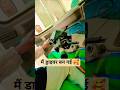 #bhojpurisong #shortvideo #youtubeshorts #viralvideo #trendingshorts