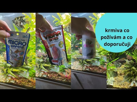 Video: Jak Si Vybrat Suché Krmivo Pro Akvarijní Ryby