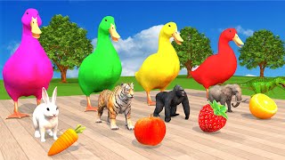 4 Giant Duck Cartoon Elephant Gorilla Hamster Cat Fountain Crossing Challenge Animals Paint Game