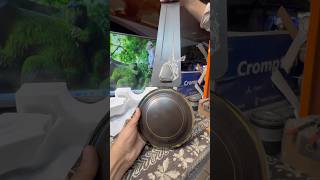 Crompton Super Briz Deco 1200MM Colour-Smoked Brown #zfr07 #ceilingfan #crompton #superbrizdeco