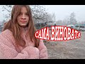 VLOG Сама виновата