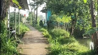 🔴LIVE   Lagu Indonesia 80an–90an | POPULAR