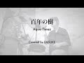 【Drum Cover】百年の樹 / Aqua Timez