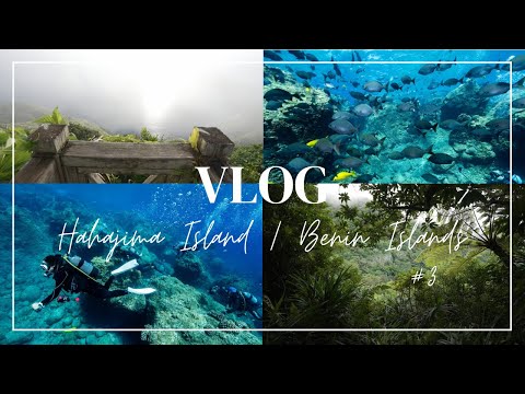 【母島 #3】世界遺産を堪能。日本一遠い島で潜って登って。