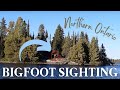 Northern ontario boater captures bigfoot on film
