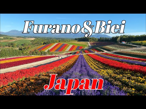 【Must see!!】Amazing views Furano in Japan for tourist [4K]