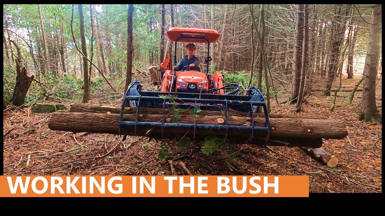 118 - Cutting trees in dense forest | Kubota compact tractor - YouTube