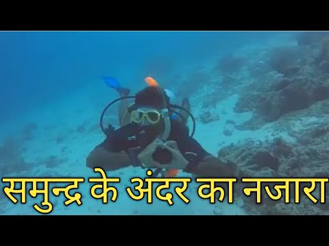 पानी के अंदर का नजारा || समुन्द्र के अंदर की ज़िंदगी ... पानी के अंदर का नजारा || समुन्द्र के अंदर की ज़िंदगी ...