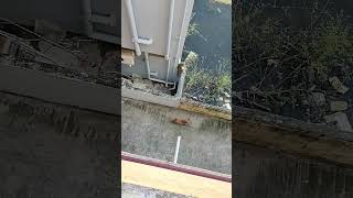 VID 20241203 154730491