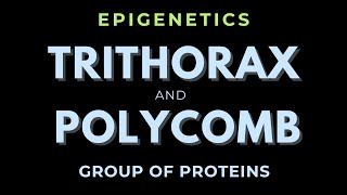 Polycomb and Trithorax Group Proteins | Epigenetics