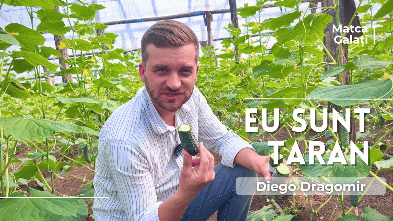 Cum se produc legumele? Un tur complet al grădinii mele!