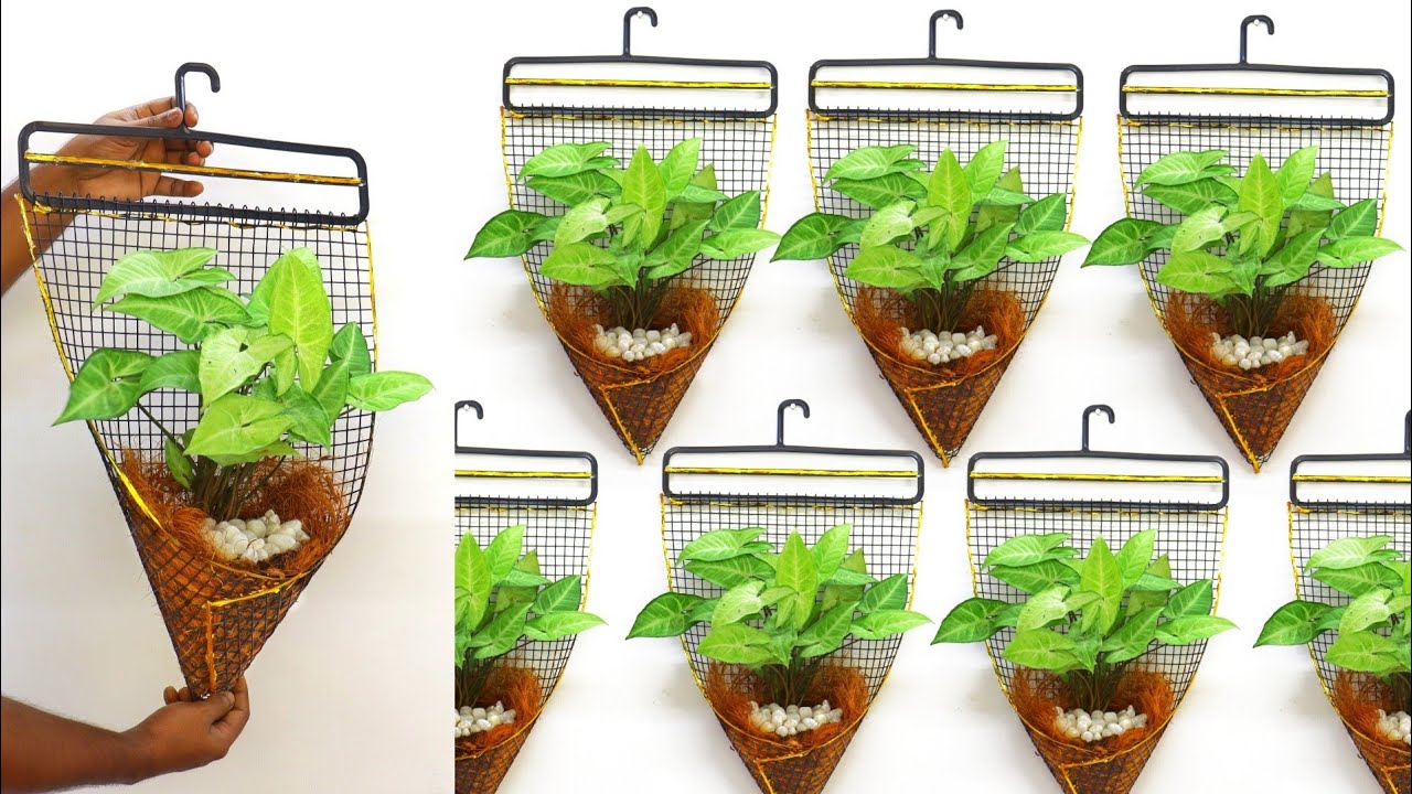 Good ideas for wall hanging planter // Hanging plants // Hanging plants ideas
